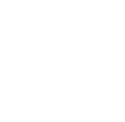 Step Icon