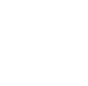 Step Icon