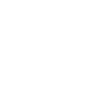 Step Icon